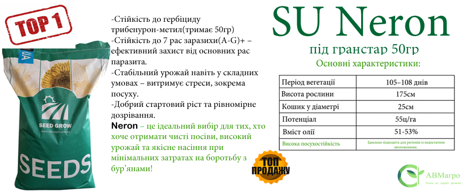 Нерон