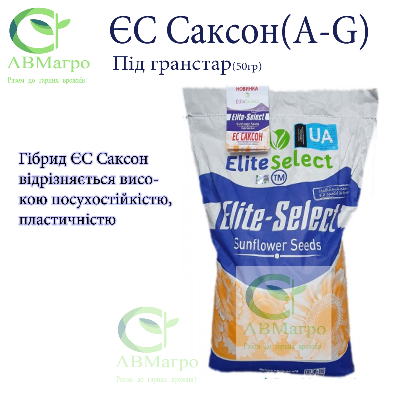 Саксон